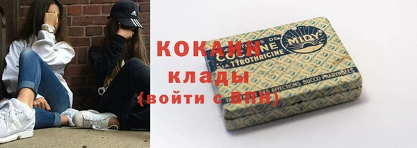 дмт Белокуриха